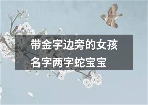 带金字边旁的女孩名字两字蛇宝宝