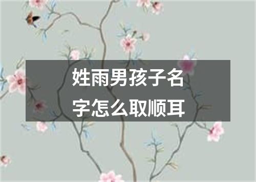 姓雨男孩子名字怎么取顺耳