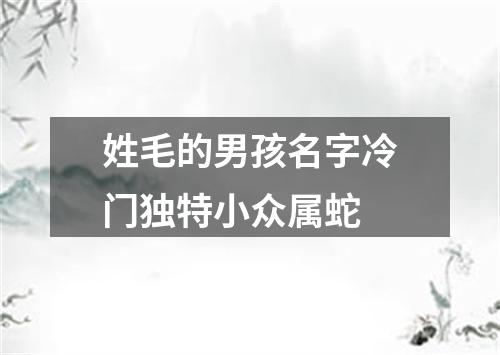 姓毛的男孩名字冷门独特小众属蛇
