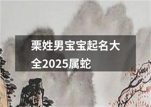 栗姓男宝宝起名大全2025属蛇