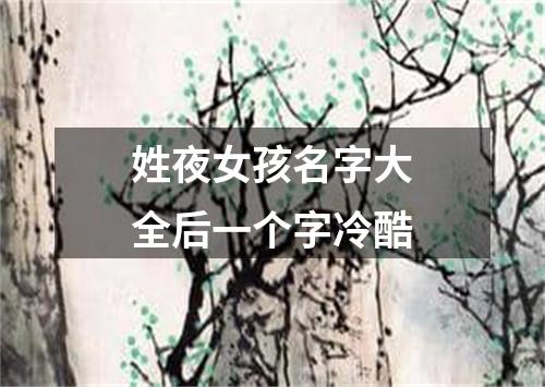 姓夜女孩名字大全后一个字冷酷