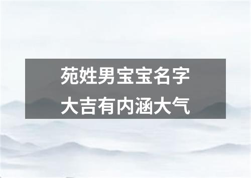 苑姓男宝宝名字大吉有内涵大气