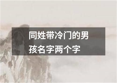 同姓带冷门的男孩名字两个字