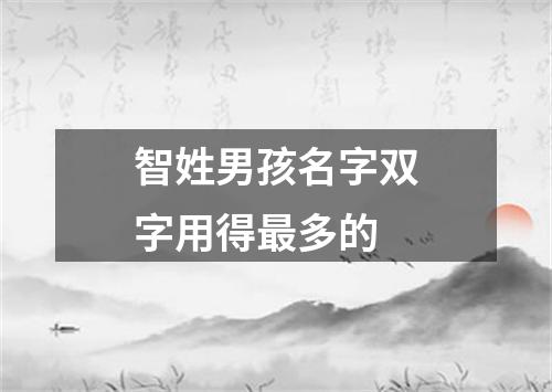 智姓男孩名字双字用得最多的