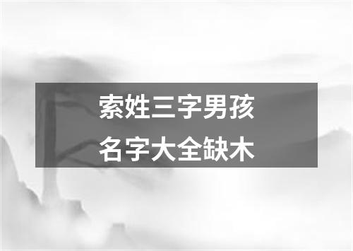 索姓三字男孩名字大全缺木