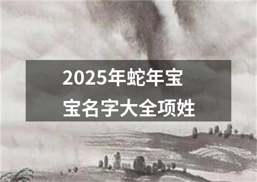 2025年蛇年宝宝名字大全项姓
