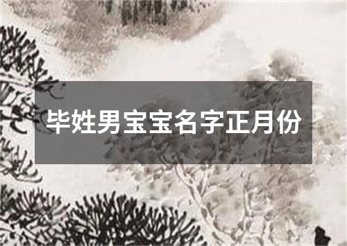 毕姓男宝宝名字正月份
