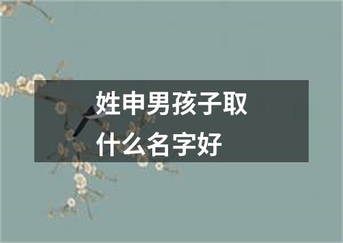 姓申男孩子取什么名字好