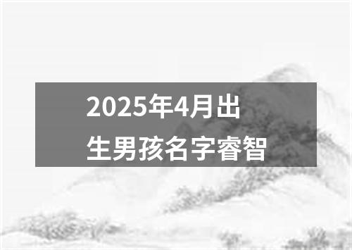 2025年4月出生男孩名字睿智