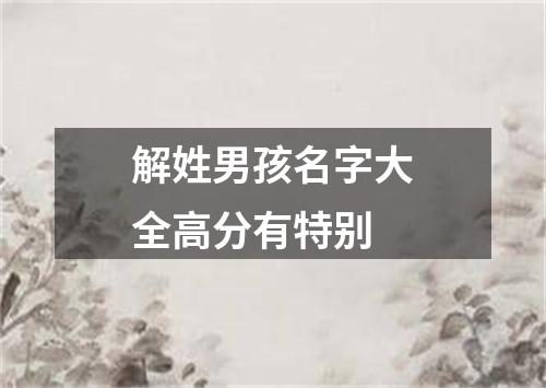 解姓男孩名字大全高分有特别