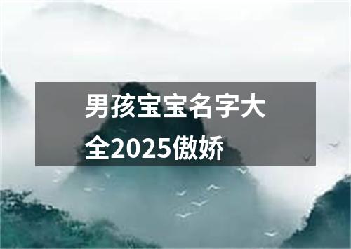 男孩宝宝名字大全2025傲娇