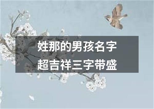 姓那的男孩名字超吉祥三字带盛