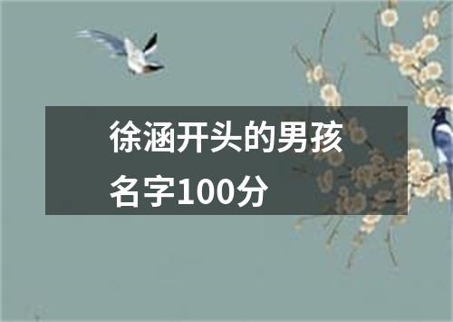 徐涵开头的男孩名字100分