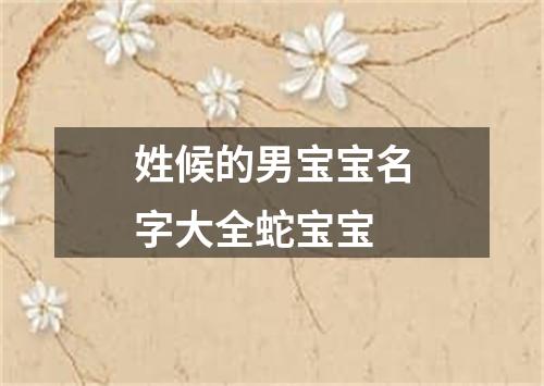 姓候的男宝宝名字大全蛇宝宝