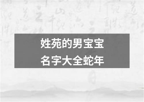 姓苑的男宝宝名字大全蛇年
