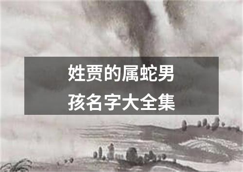 姓贾的属蛇男孩名字大全集