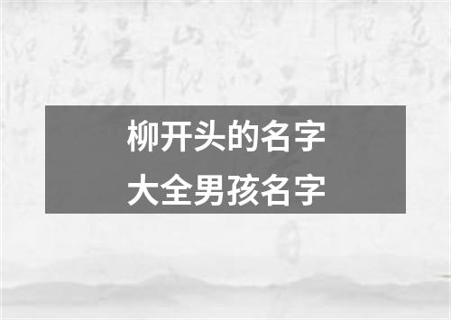 柳开头的名字大全男孩名字