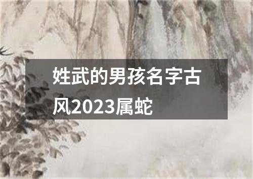 姓武的男孩名字古风2023属蛇