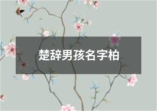 楚辞男孩名字柏