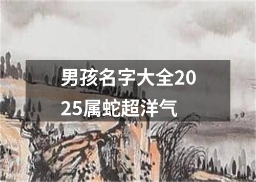 男孩名字大全2025属蛇超洋气
