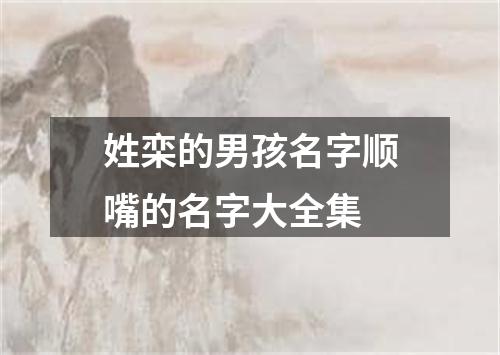 姓栾的男孩名字顺嘴的名字大全集