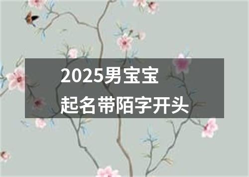 2025男宝宝起名带陌字开头