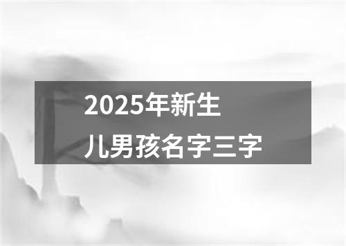 2025年新生儿男孩名字三字
