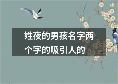 姓夜的男孩名字两个字的吸引人的