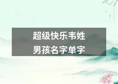 超级快乐韦姓男孩名字单字