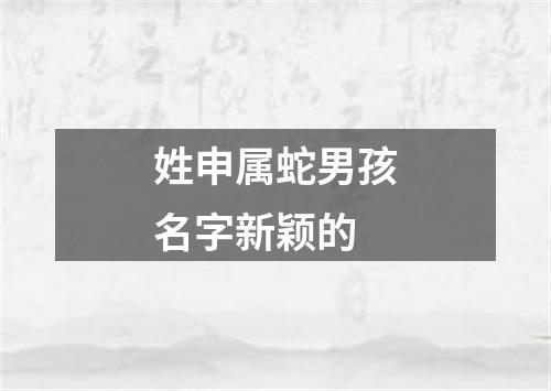 姓申属蛇男孩名字新颖的