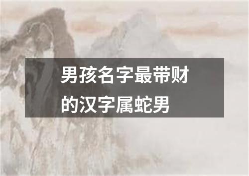男孩名字最带财的汉字属蛇男