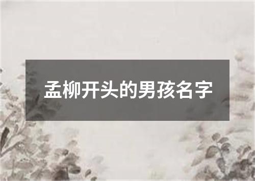 孟柳开头的男孩名字