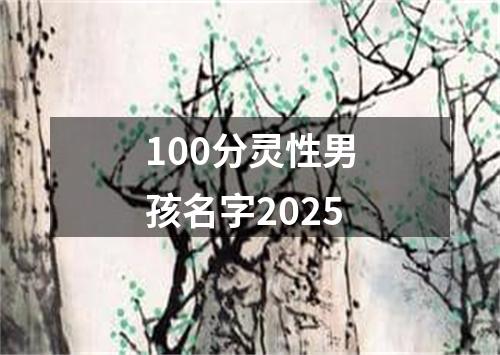 100分灵性男孩名字2025