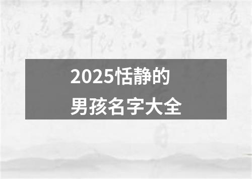 2025恬静的男孩名字大全