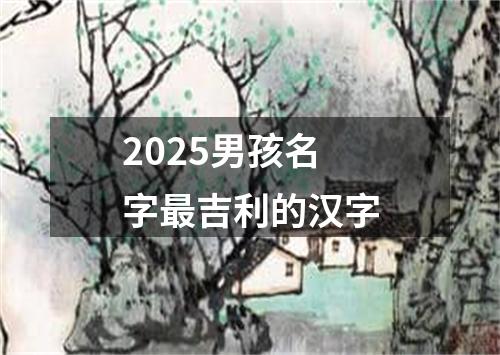 2025男孩名字最吉利的汉字