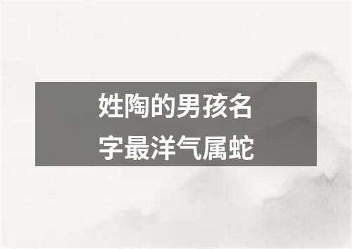 姓陶的男孩名字最洋气属蛇