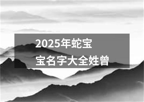 2025年蛇宝宝名字大全姓曾