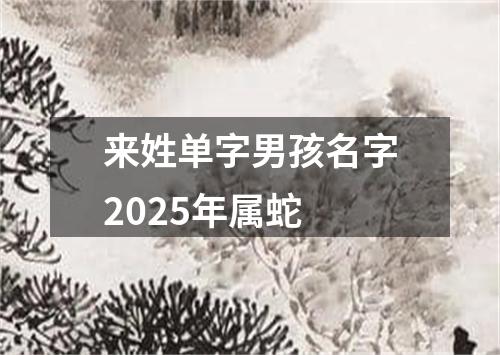 来姓单字男孩名字2025年属蛇