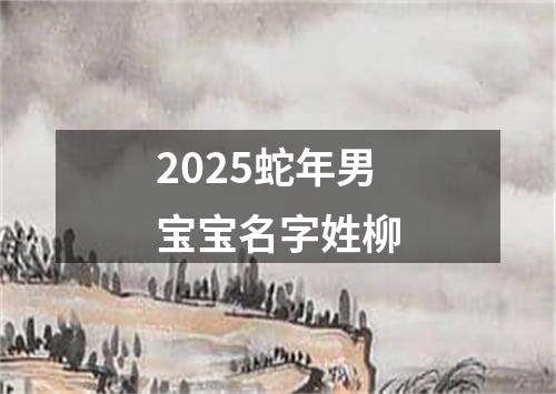 2025蛇年男宝宝名字姓柳