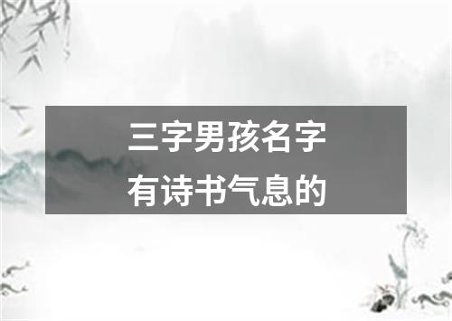 三字男孩名字有诗书气息的