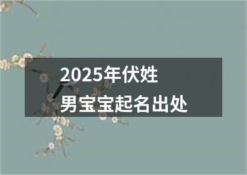 2025年伏姓男宝宝起名出处