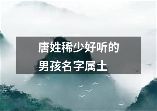 唐姓稀少好听的男孩名字属土