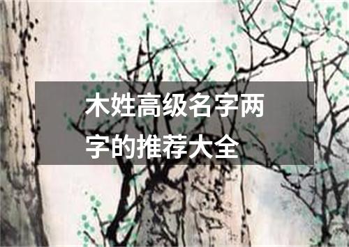 木姓高级名字两字的推荐大全