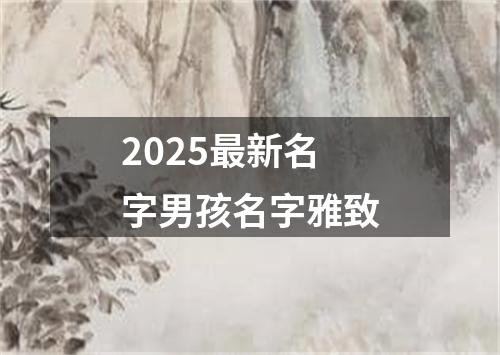 2025最新名字男孩名字雅致