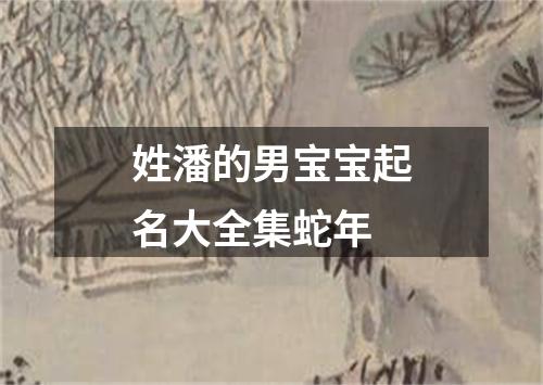 姓潘的男宝宝起名大全集蛇年