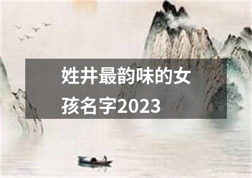 姓井最韵味的女孩名字2023