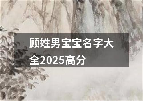 顾姓男宝宝名字大全2025高分