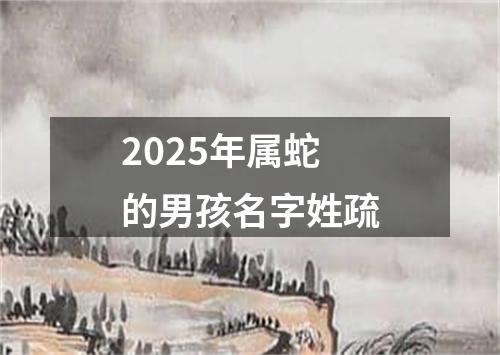 2025年属蛇的男孩名字姓疏
