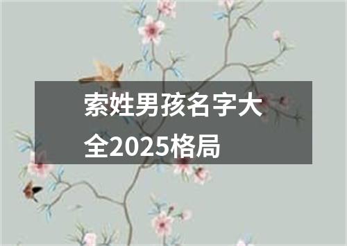 索姓男孩名字大全2025格局
