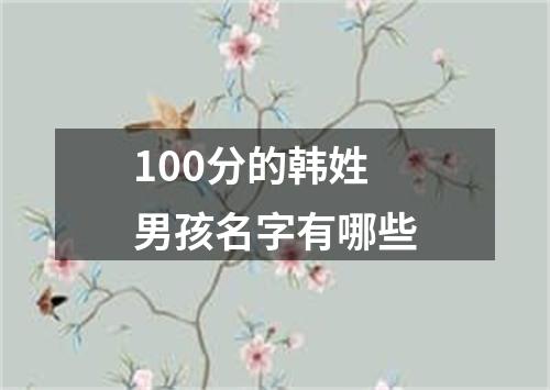 100分的韩姓男孩名字有哪些